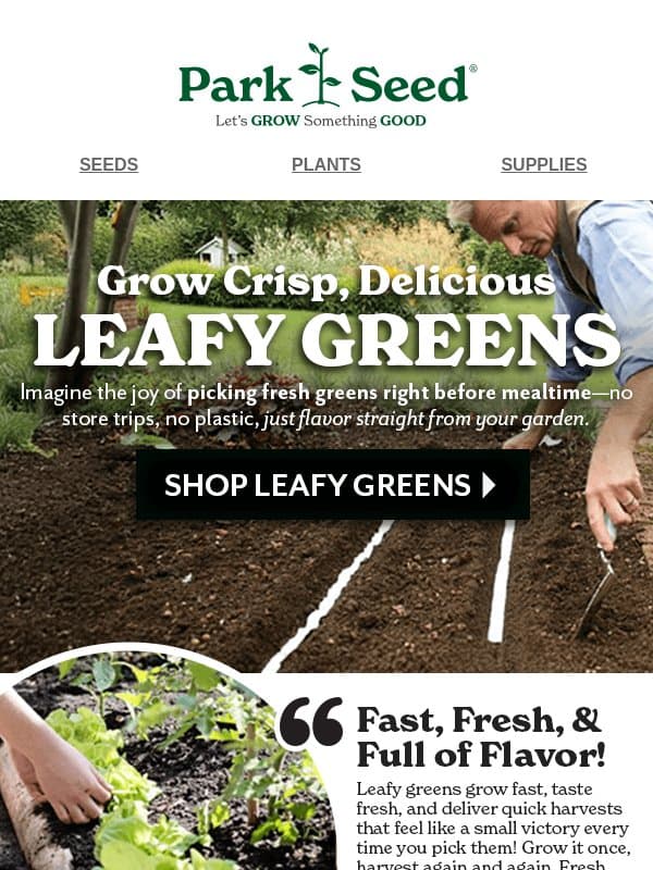 Freshness You Can Count On, Savings You'll Love! 😍 email from Park Seed