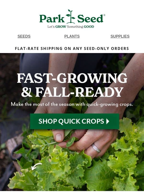 Sow Now, Savor More Flavor This Fall! email from Park Seed