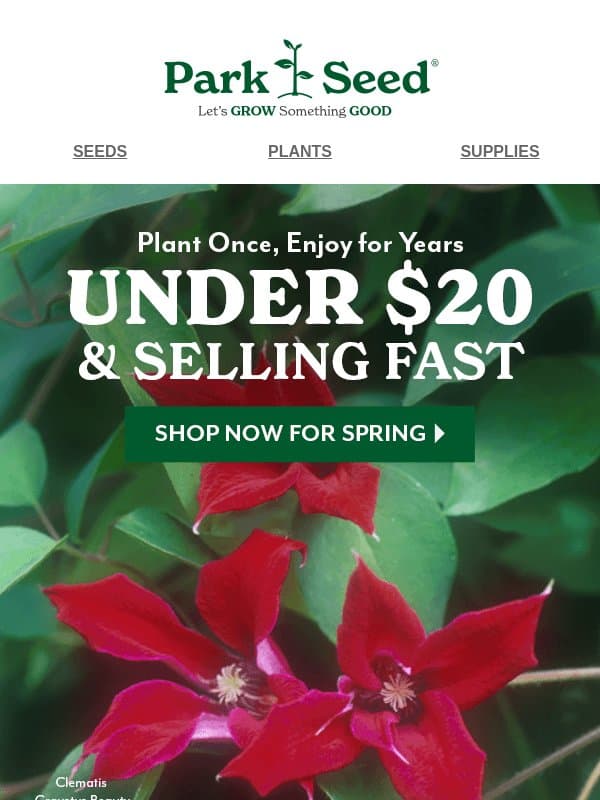 Pretty Plants. Even Prettier Prices email from Park Seed