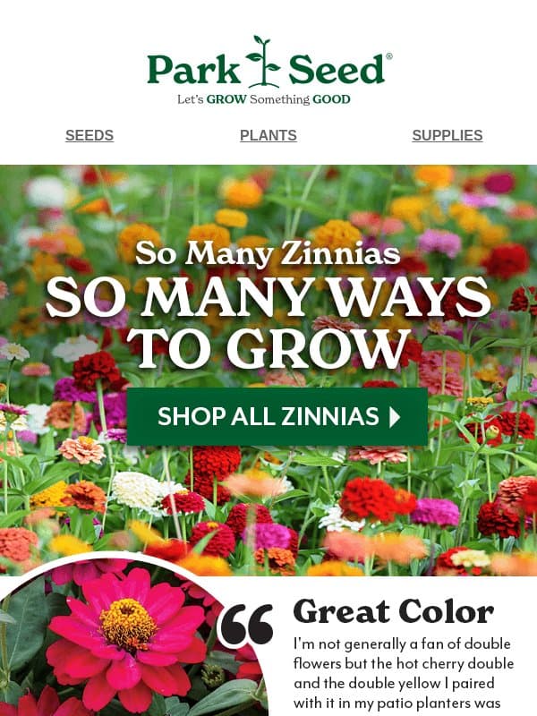 80+ Zinnias to Grow, Gift & Love! 💚 email from Park Seed