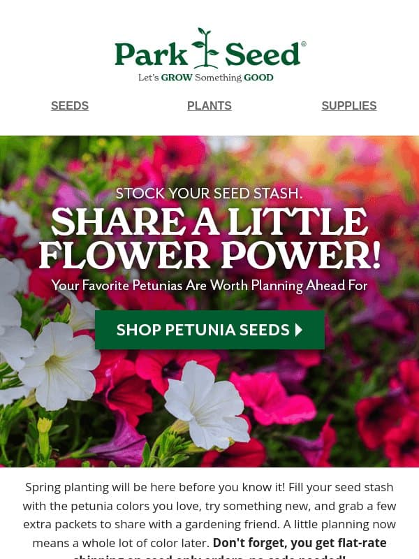 Plan Ahead for Petunia Perfection & End of Season Savings! email from Park Seed