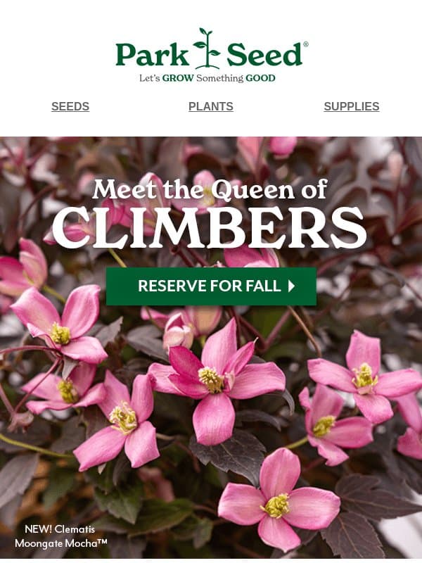 Treat Yourself to Clematis up to 50% OFF email from Park Seed