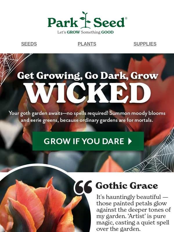 All Treats, No Tricks—Just Garden Deals 🎃 email from Park Seed