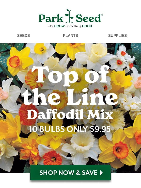 A Top-of-the-Line Deal for LESS Than $1 A Bulb! email from Park Seed