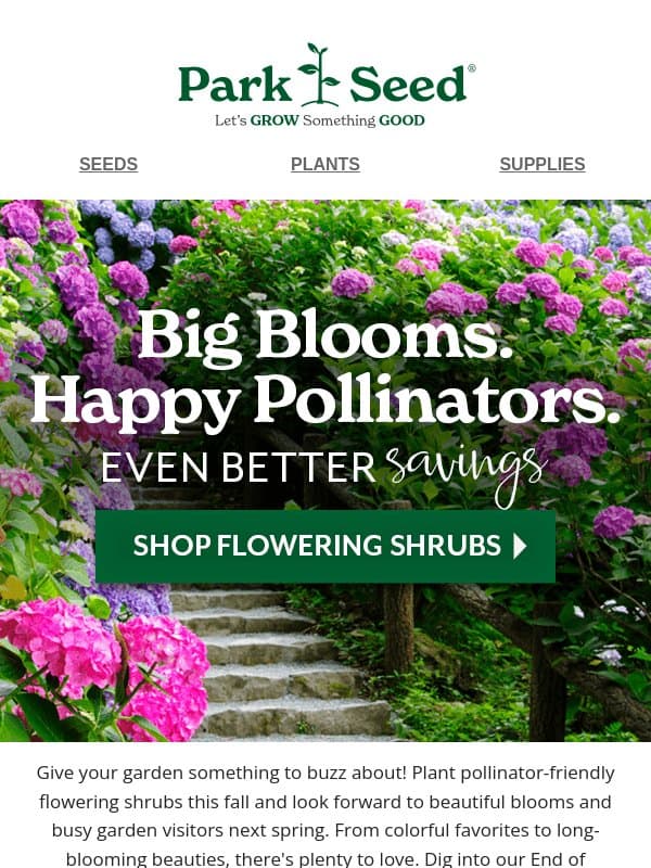 Flowering Shrubs: up to 50% OFF & Selling Fast! email from Park Seed