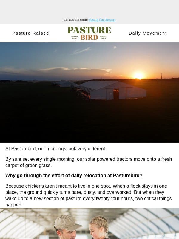 Why Our Chickens Love the Sunrise! โ๏ธ email from Pasturebird