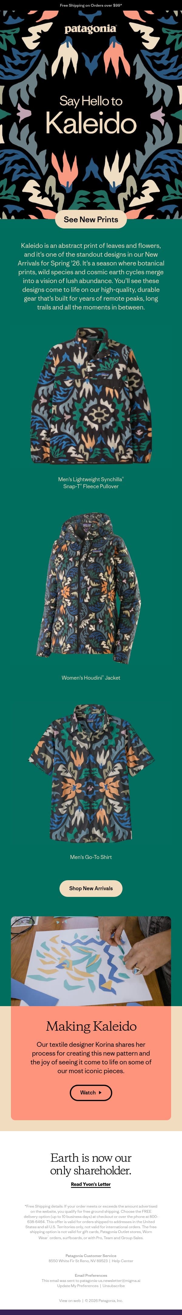 Meet our newest prints email from Patagonia screenshot