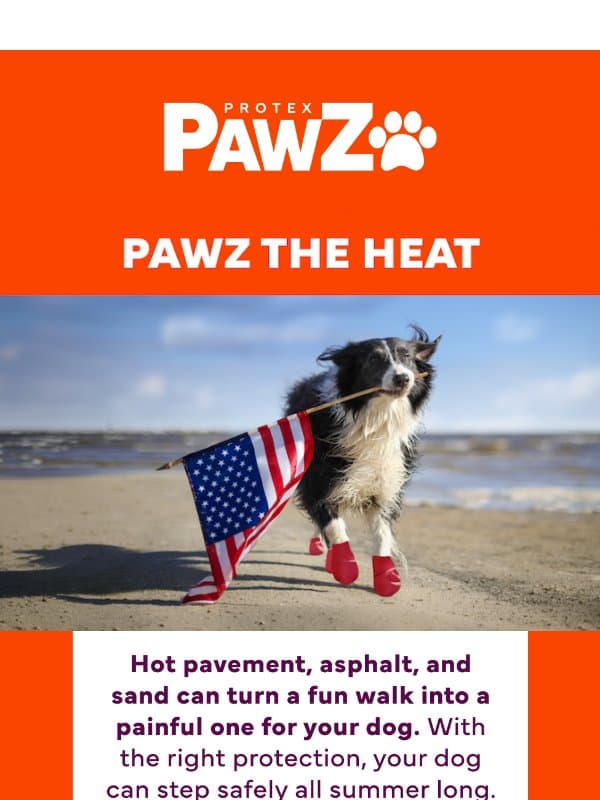 Too Hot to Walk? email from Pawz
