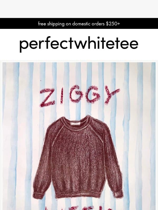 it's ziggy week. shop with 25% off. email from perfectwhitetee