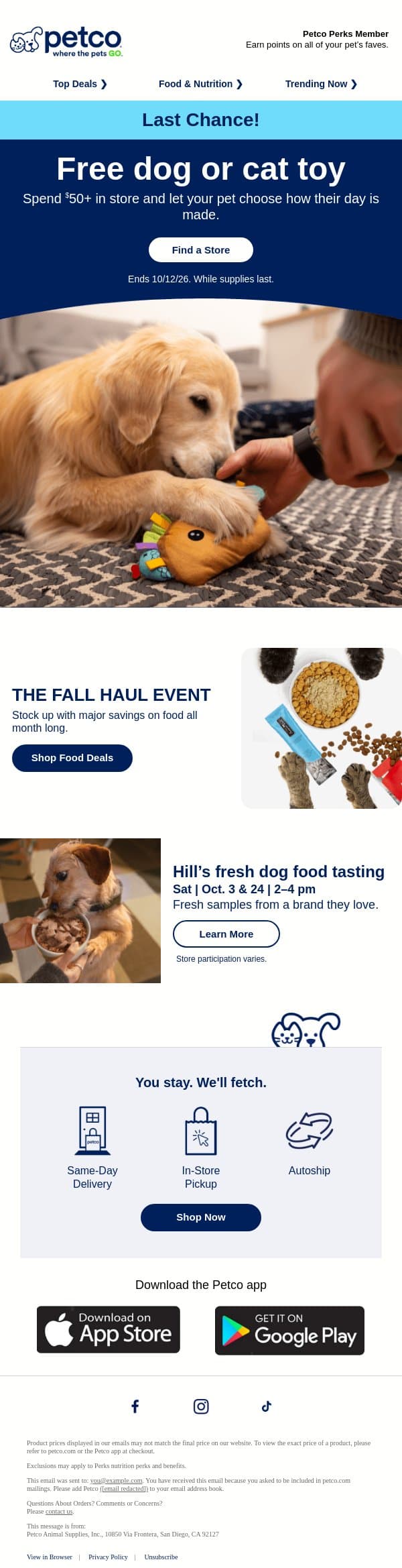 ๐ LAST CHANCE: Free toy with $50+ purchase! email from Petco screenshot