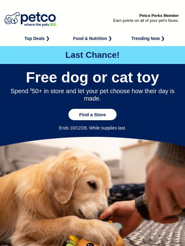 🙀 LAST CHANCE: Free toy with $50+ purchase! email from Petco