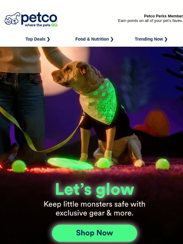 🌙 Gear for the midnight prowlers >>> email from Petco