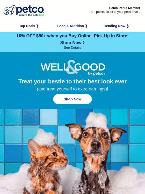 Get ready for the BEST value in grooming ✨ 💅 email from Petco