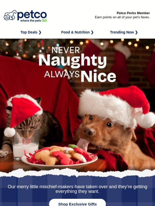 🐾🎁 Try to keep your pet’s paws off these gifts! email from Petco