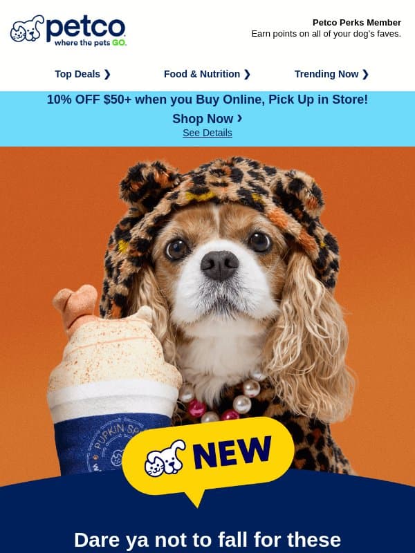 π NEW! Your dogβs fall feels start here >>> email from Petco