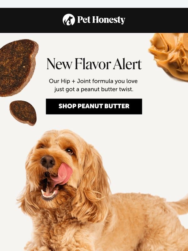 New Flavor Alert: Peanut Butter 🥜 email from PetHonesty