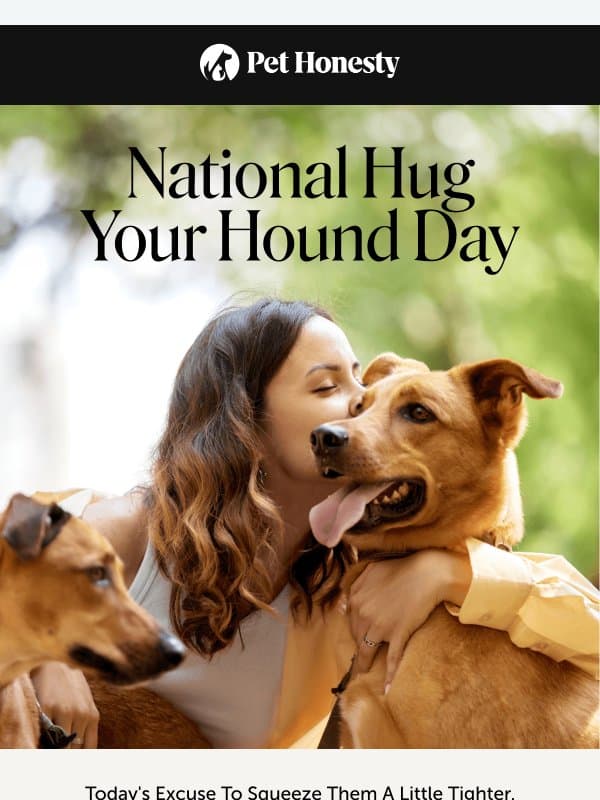 Happy National Hug Your Hound Day πΆ email from PetHonesty