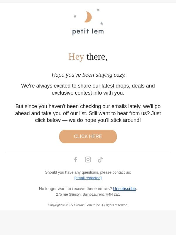 Hey {customer name}, we miss you π email from Petit Lem screenshot