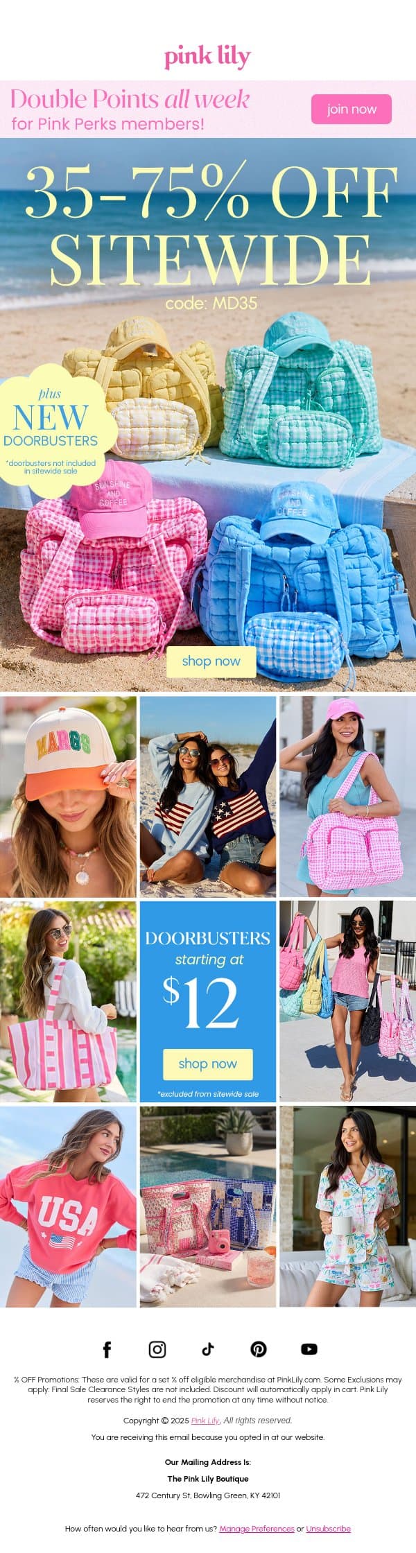 35-75% OFF SITEWIDE ποΈ email from Pink Lily screenshot