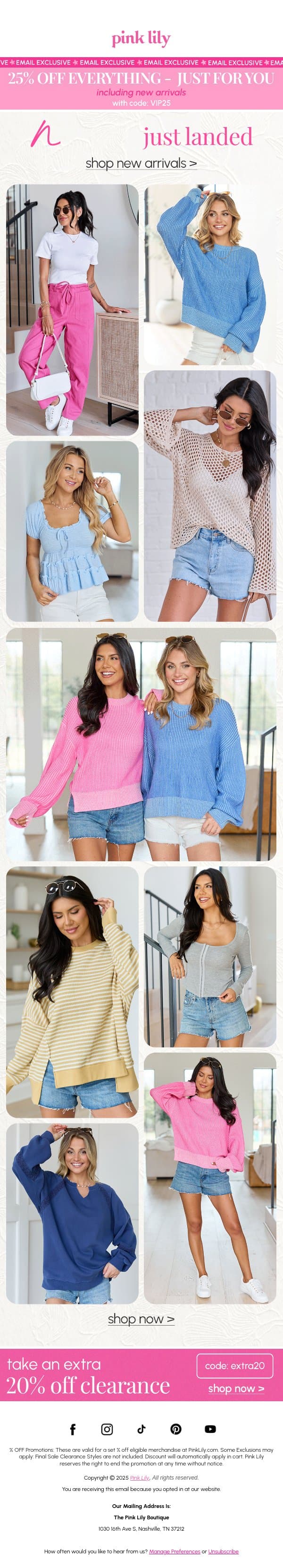 meet the NEW arrivals 🤩 email from Pink Lily screenshot