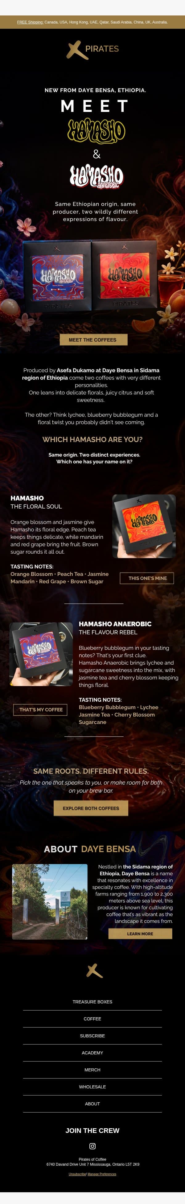 🍑🫐 Peach Tea, Blueberry Bubblegum & More? email from Pirates of Coffee Roastery screenshot