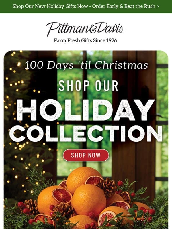 Only 100 Days Until Christmas - Start Shopping Today! email from Pittman & Davis
