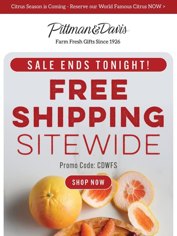 Hurry - FREE Shipping SITEWIDE Ends Tonight email from Pittman & Davis