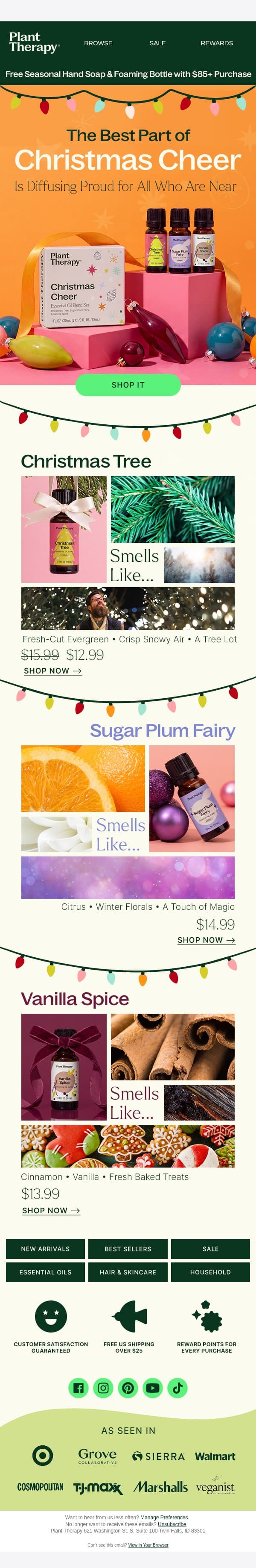 Christmas Cheer Is In The Air email from Plant Therapy screenshot