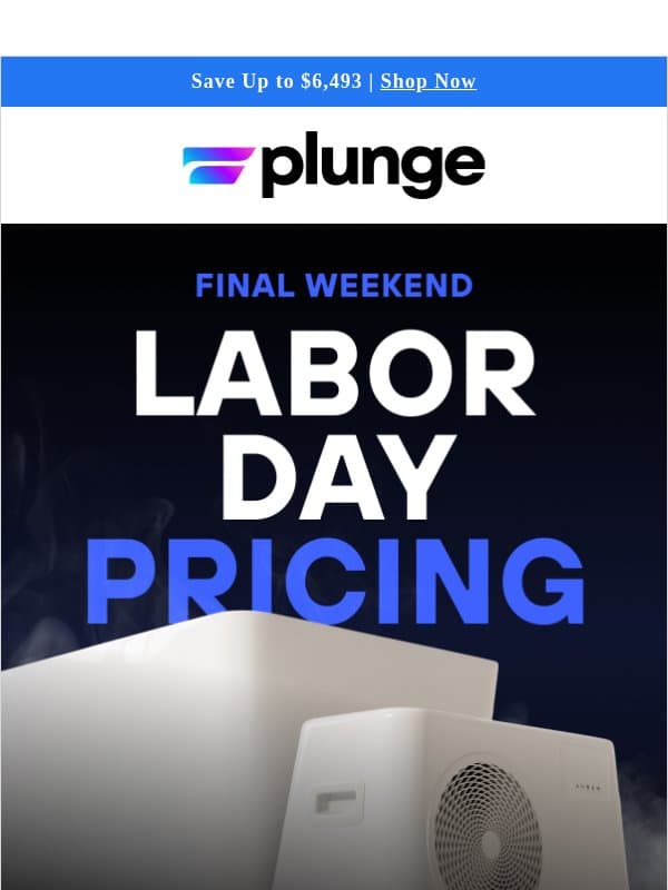 Final Weekend to Save email from Plunge