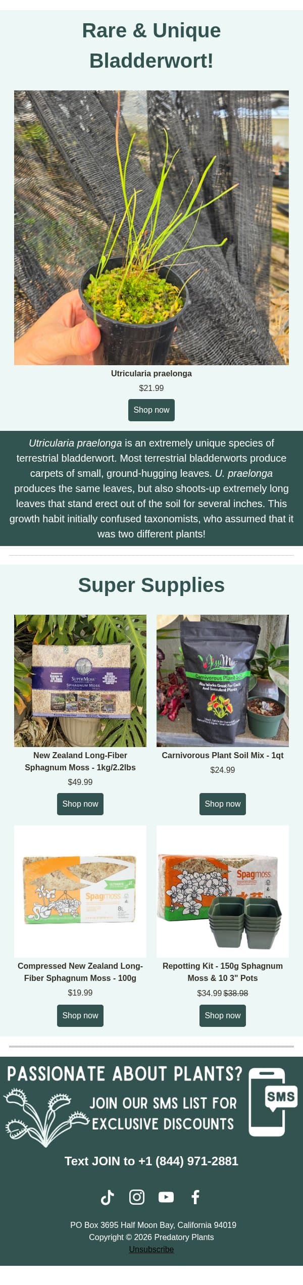 Rare & Unique Bladderwort Available! email from Predatory Plants screenshot