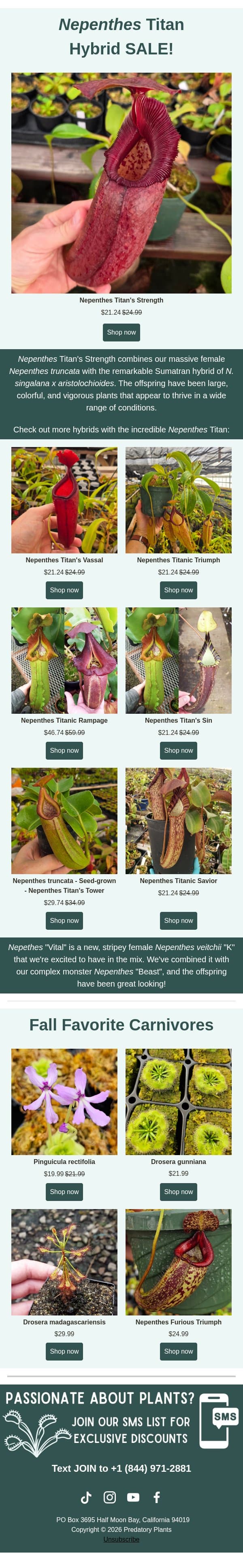 Titanic Nepenthes Sale! email from Predatory Plants screenshot