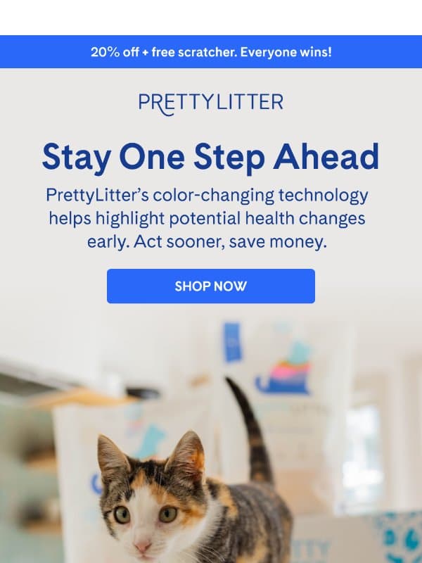Small Changes Matter email from PrettyLitter