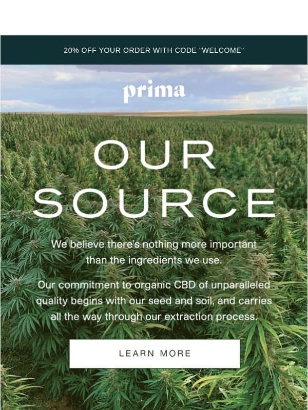 We're committed to unparalleled quality email from Prima