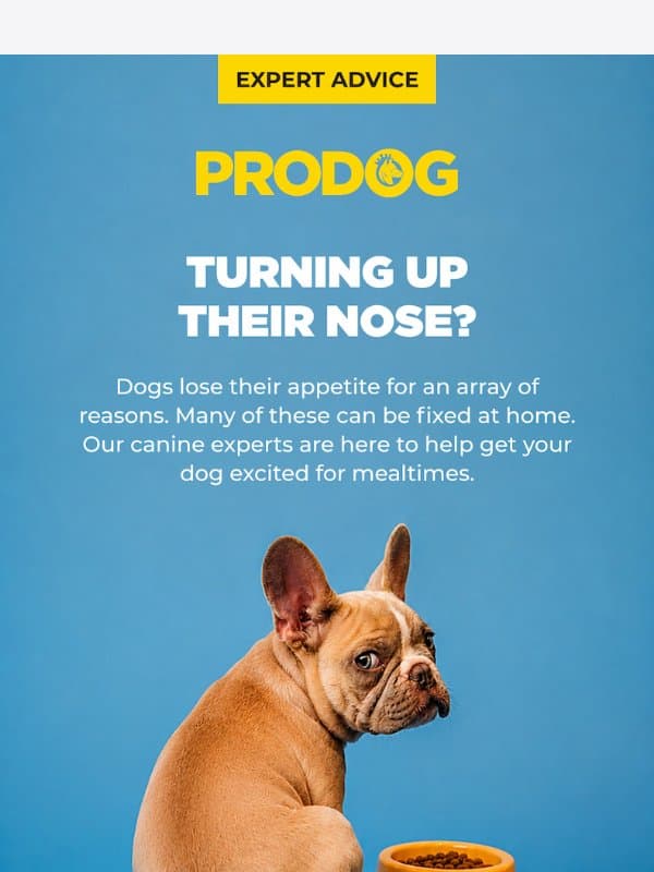 Why wonât your dog eat? email from ProDog Raw