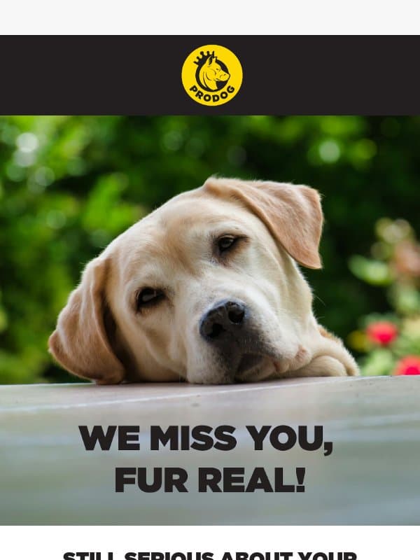 Time to say goodbye? email from ProDog Raw