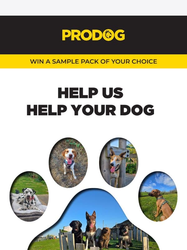 Win a Sample Pack in 2 minutes đŸ email from ProDog Raw