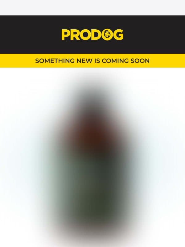 6 signs your dog's gut needs a boost email from ProDog Raw