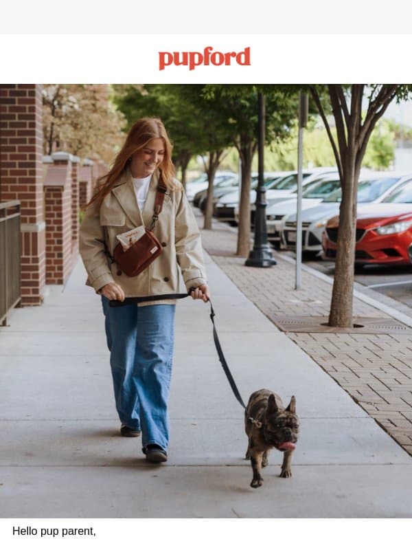 The Secret to Calmer Walks & Better Training. email from Pupford
