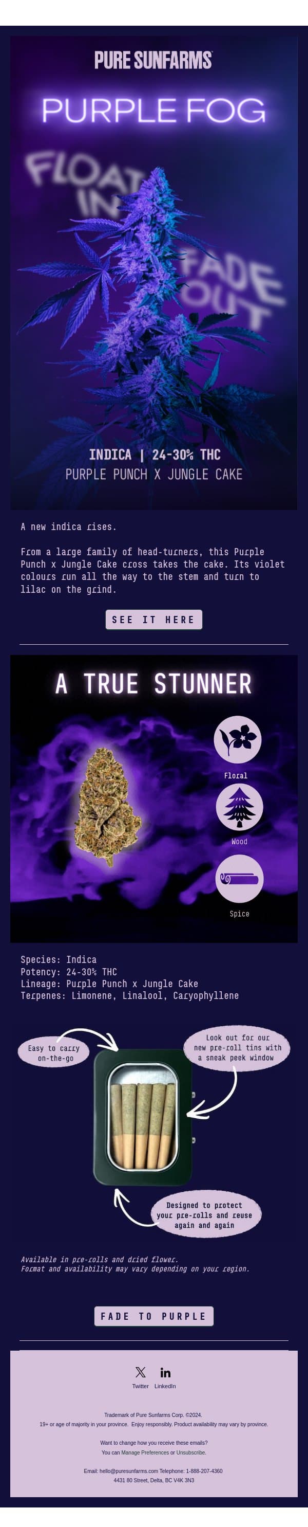 A True New Stunner email from Pure Sunfarms screenshot