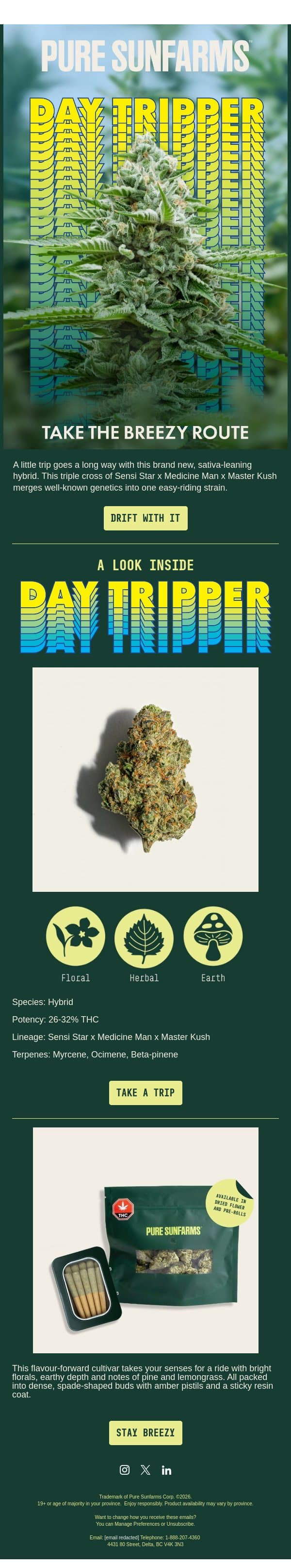 Ready for Day Tripper? email from Pure Sunfarms screenshot