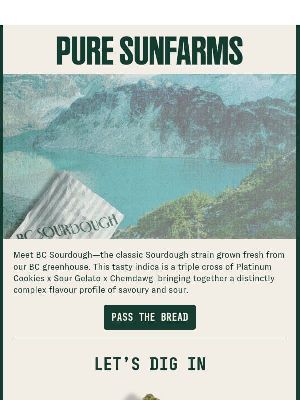 Freshly Baked: BC Sourdough email from Pure Sunfarms