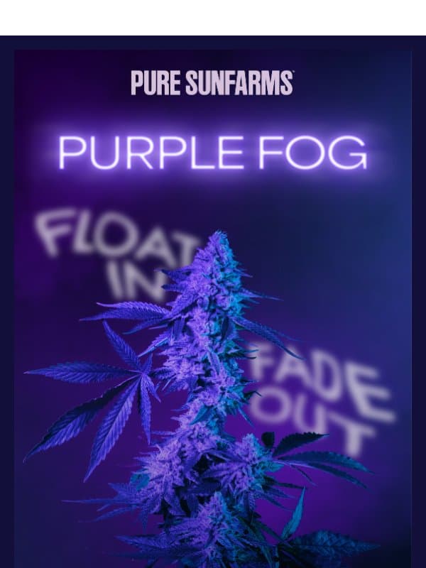 A True New Stunner email from Pure Sunfarms