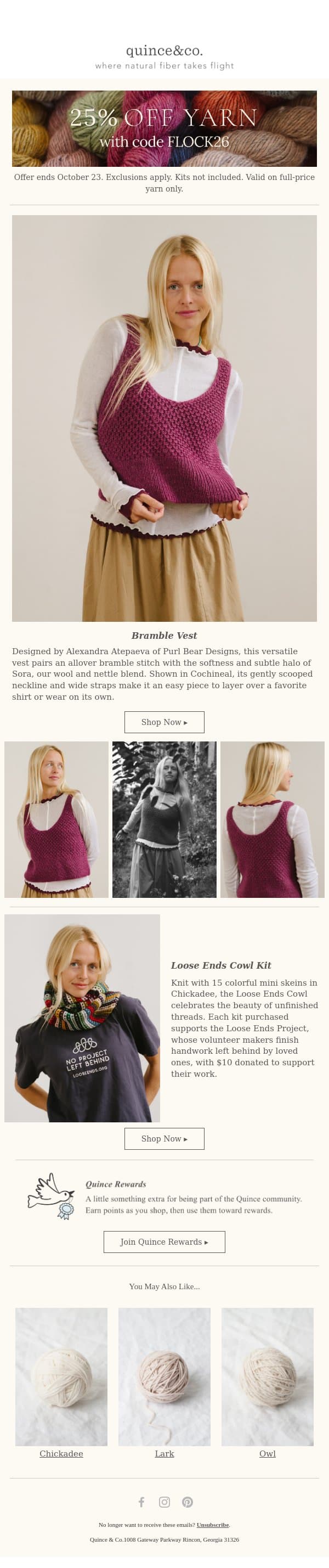 Bramble Vest: A new layer to knit email from Quince & Co screenshot