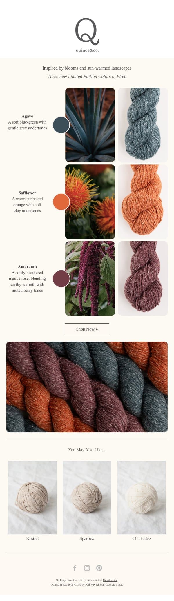 Limited Edition: Inspired by sun-warmed landscapes email from Quince & Co screenshot