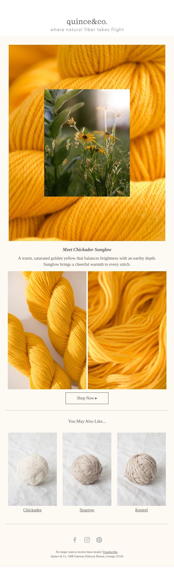 A new golden yellow for Chickadee email from Quince & Co screenshot