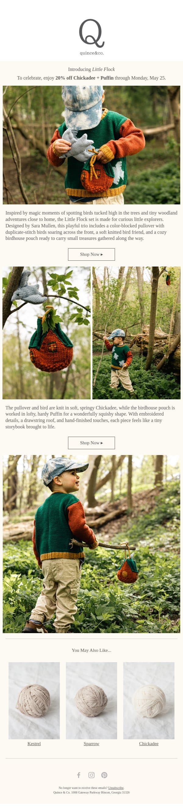 Little Flock for curious little explorers email from Quince & Co screenshot