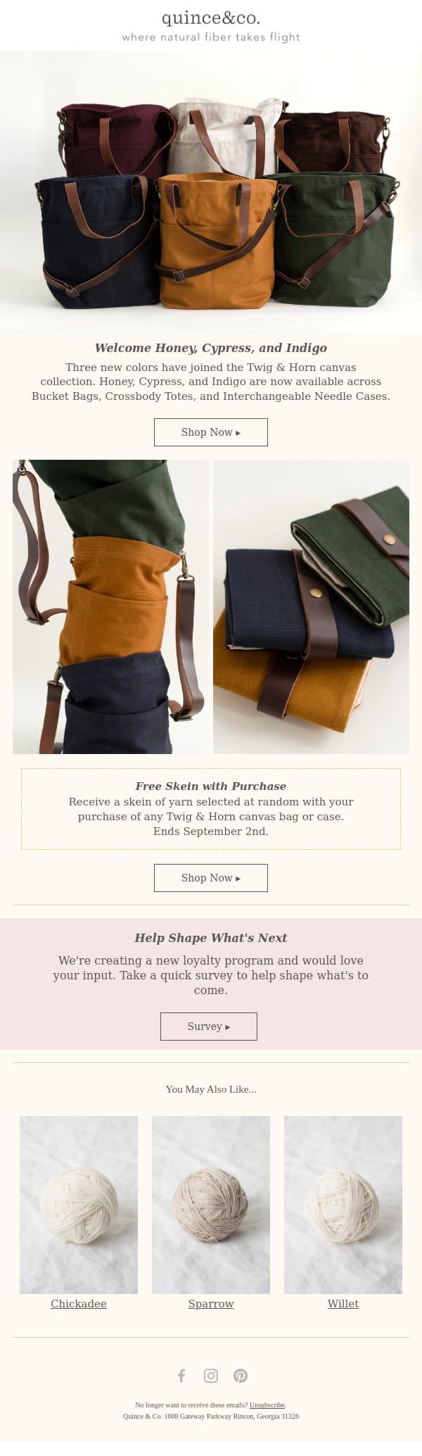 New Colors in Canvas: Honey, Cypress, & Indigo email from Quince & Co screenshot