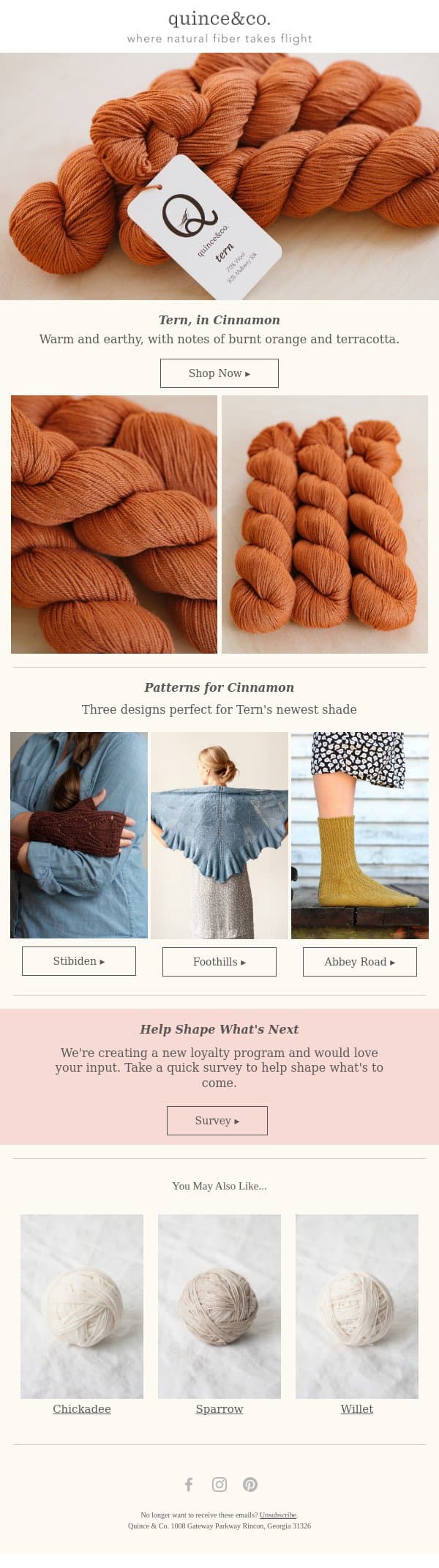 Meet Cinnamon, our newest Tern shade email from Quince & Co screenshot