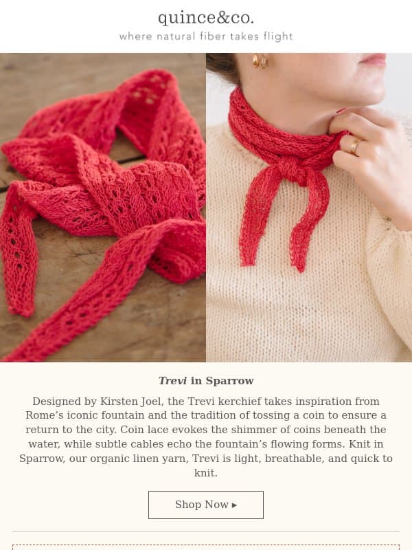 A new kerchief, plus 15% off Twig & Horn tools email from Quince & Co
