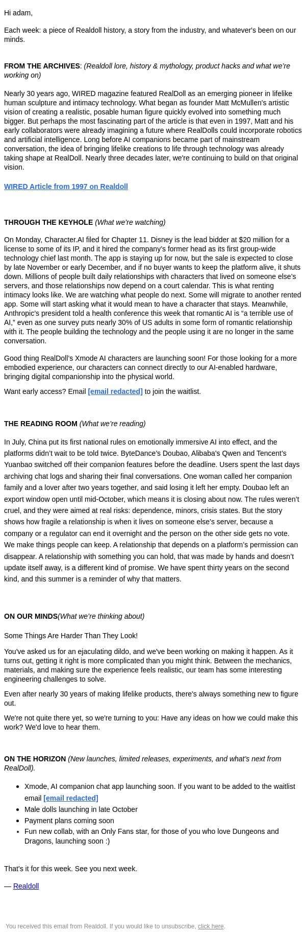 Rented Love, what stays when they leave? email from RealDoll screenshot